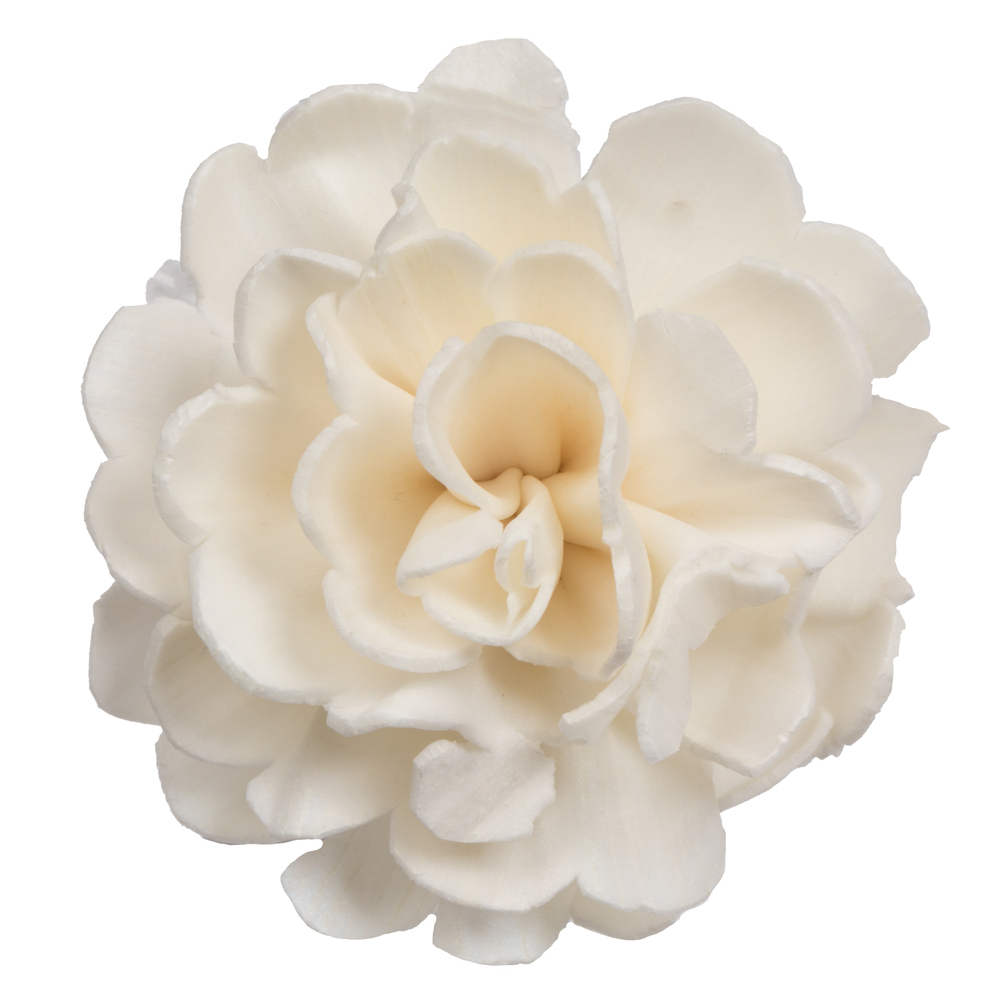 1-3 in. Assorted Camellia Sola Head Artificial Flowers, Natural - 24 per Bag