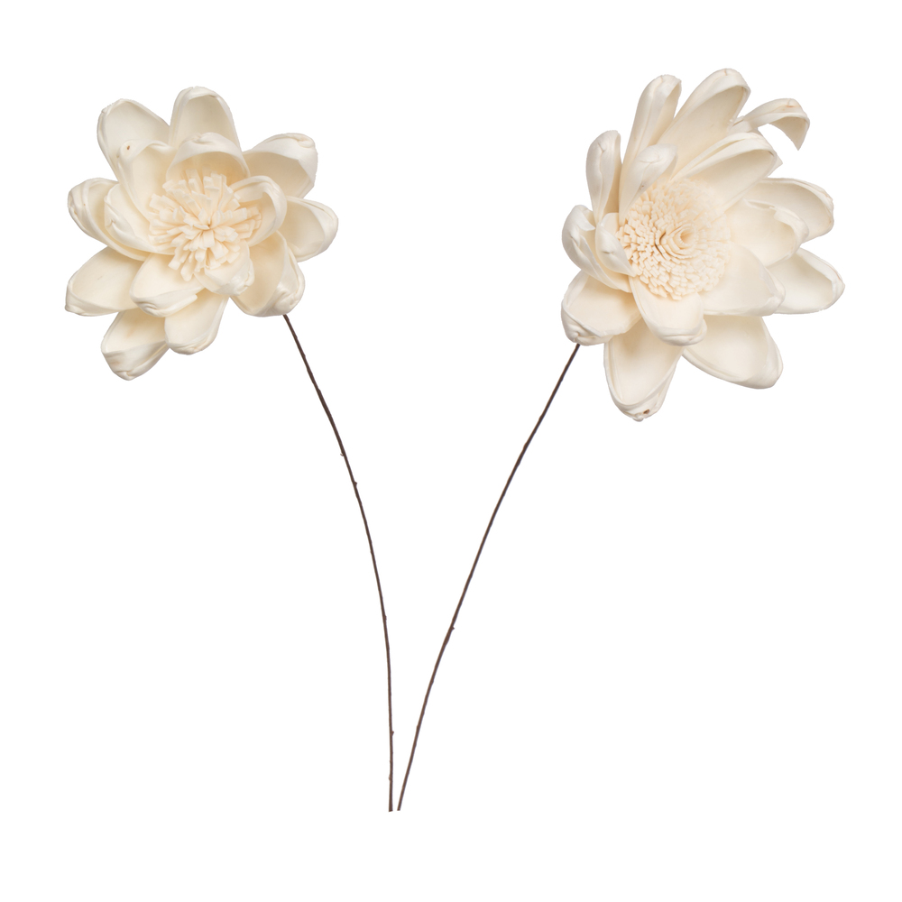 4 in. Crocus Sola Flower On Stem Artificial Flower, Natural - 12 in. - 12 per Bag