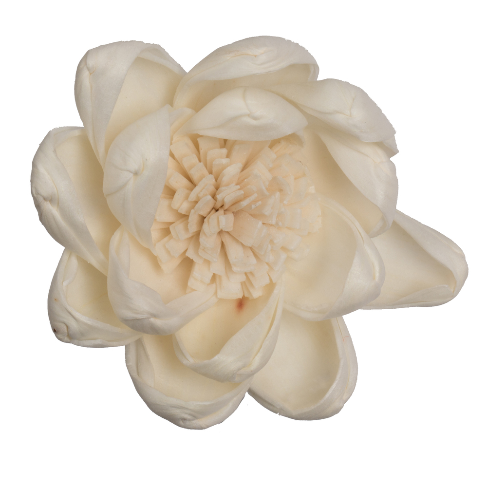 1-3 in. Assorted Crocus Sola Head Artificial Flowers, Natural - 24 per Bag