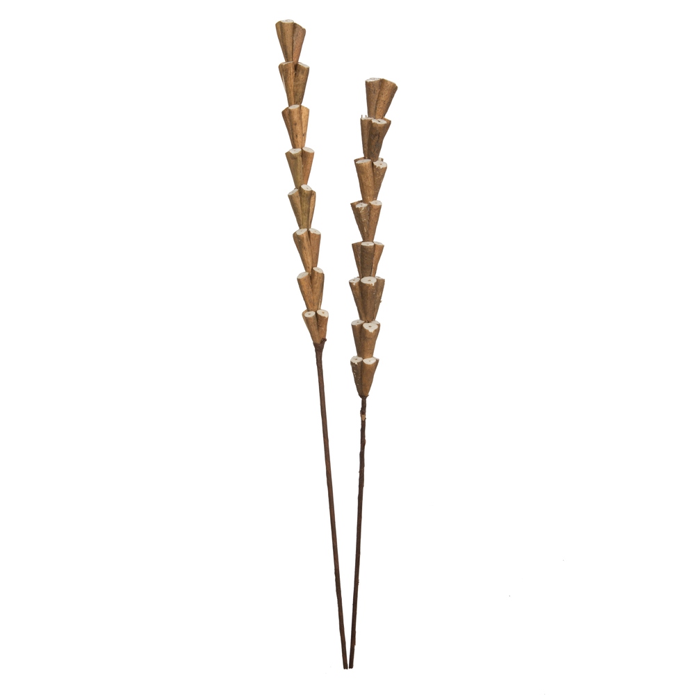 24 in. Sola Scrape Skin Cone Artificial Flowers, Natural - 12 per Bag