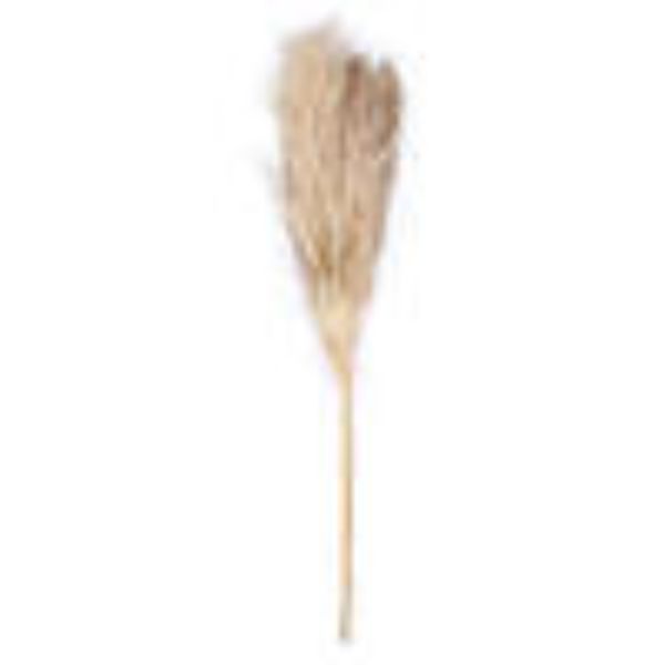 46 in. Pampas Grass, Orange - Pack of 6