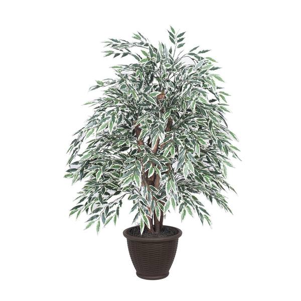 4 ft. Variegated Smilax Extra Full Bush, Green & White