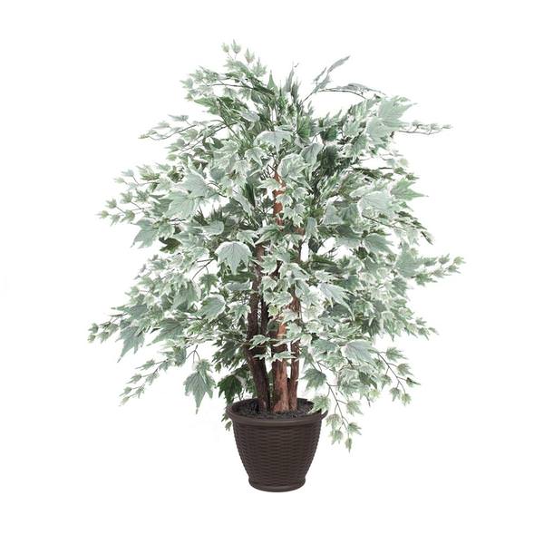 4 ft. Silver Maple Extra Full Bush in Plastic, Green & Silver