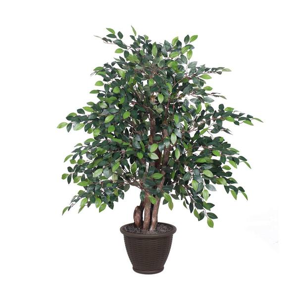 4 ft. Mini Ficus Extra Full Bush in Plastic, Green