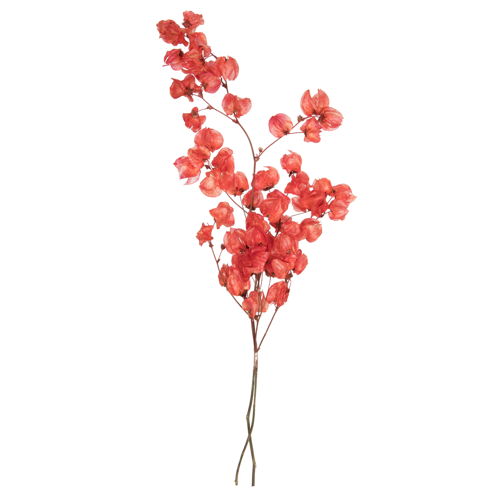 Picture of Vickerman H2CAR475 13.5-17 in. Cara Blossom Bundle&#44; Red