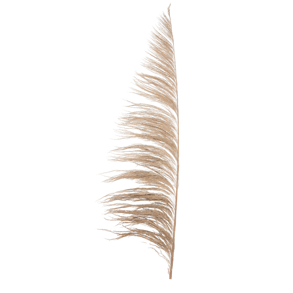 60-72 in. Natural Uva Palm Spray - 10 per Bunch