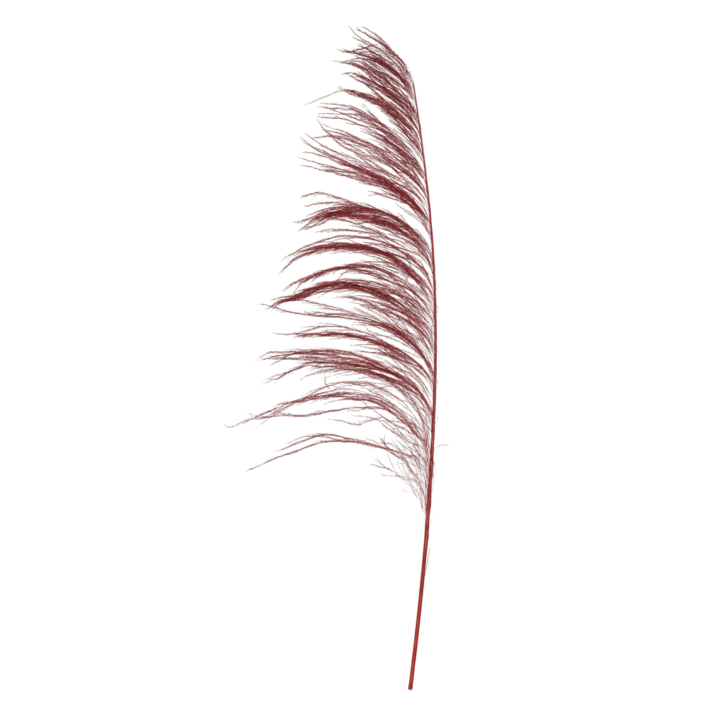 60-72 in. Red Uva Palm Spray - 10 per Bunch