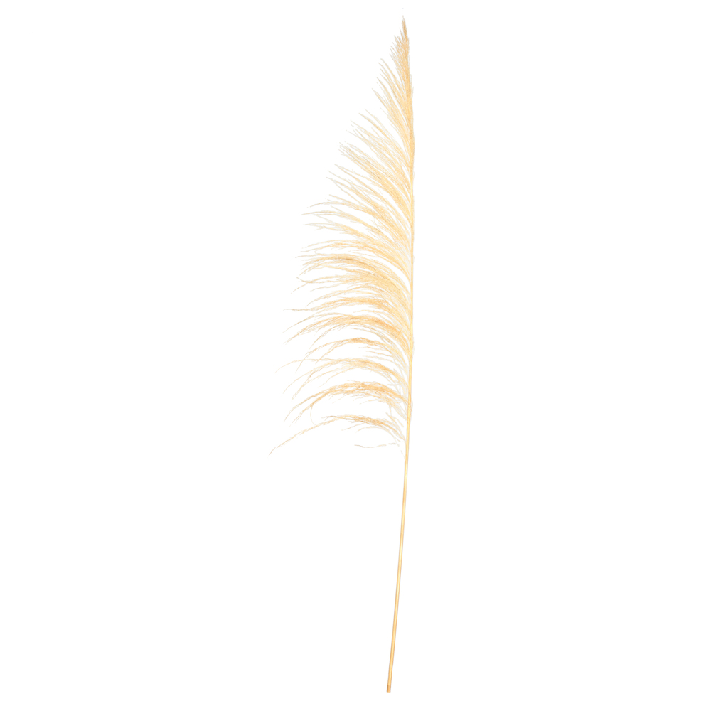 60-72 in. Bleached Uva Palm Spray - 10 per Bunch