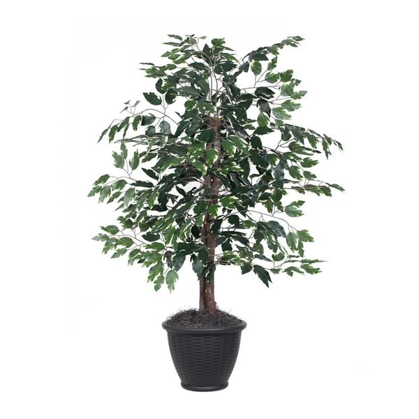 4 ft. Artificial Variegated Ficus Bush in Gray Plastic Container, Green & White