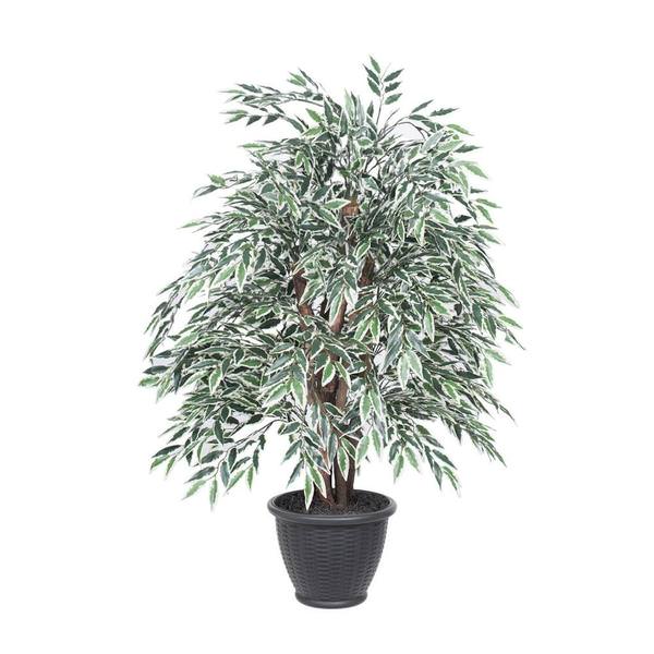 4 ft. Variegated Smilax Extra Full Bush in Plastic Container, Green & White