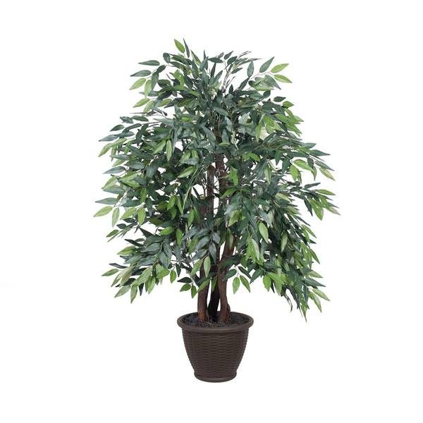 4 ft. Green Smilax Extra Full Bush in Pot, Dark Green