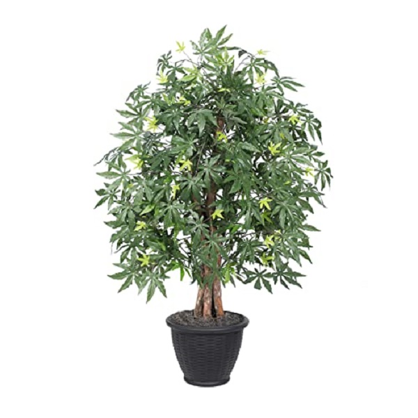 4 ft. Japanese Maple Extra Full Tree in Gray Pot, Green
