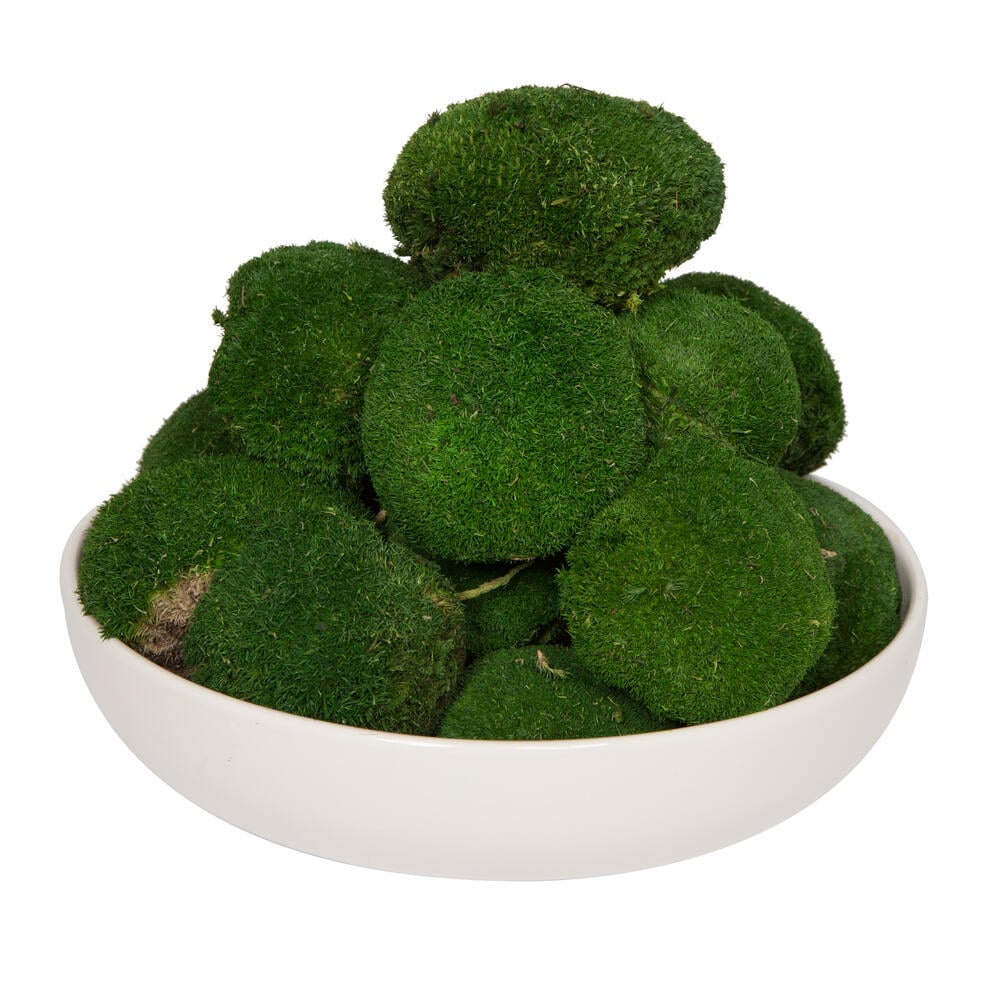 1.5 lbs Apple Green Pole Moss
