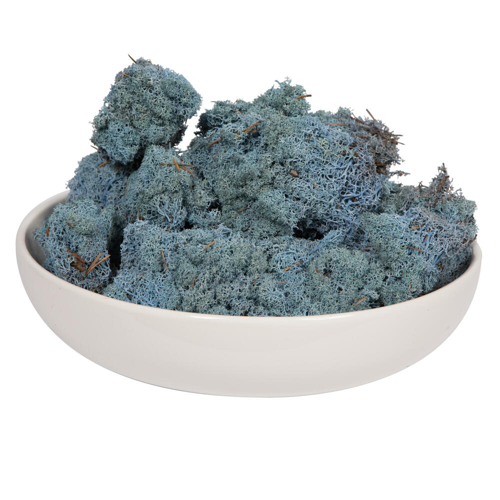 Picture of Vickerman H4RDM505-2 2 lbs Reindeer Moss&#44; Light Blue