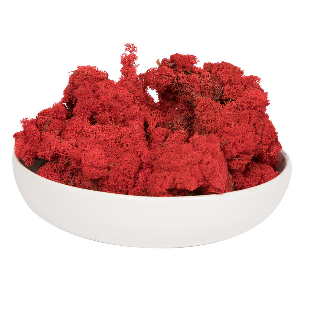 Picture of Vickerman H4RDM475 9 lbs Reindeer Moss&#44; Red