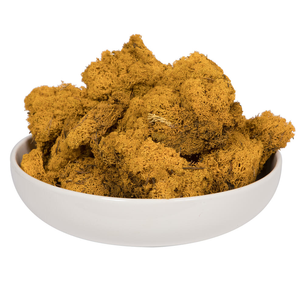 Picture of Vickerman H4RDM725-2 2 lbs Reindeer Moss&#44; Aspen Gold