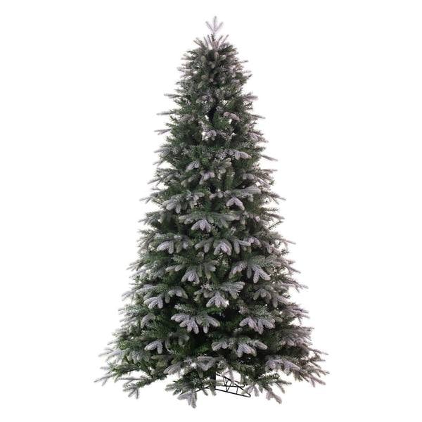 Picture of Vickerman K224655 5.5 ft. x 45 in. 1641T Frosted Douglas Fir Artificial UnLit Christmas Tree &#44; Green