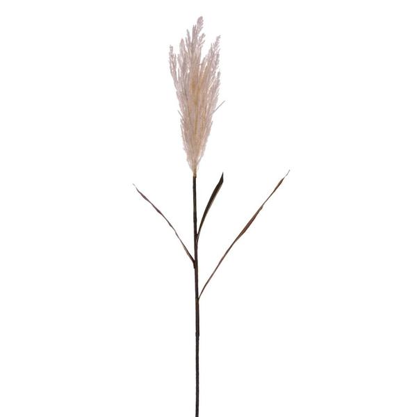 Picture of Vickerman FM224953 53 in. Cream Glitter Reed Spray, 2 Piece - Pack of 72
