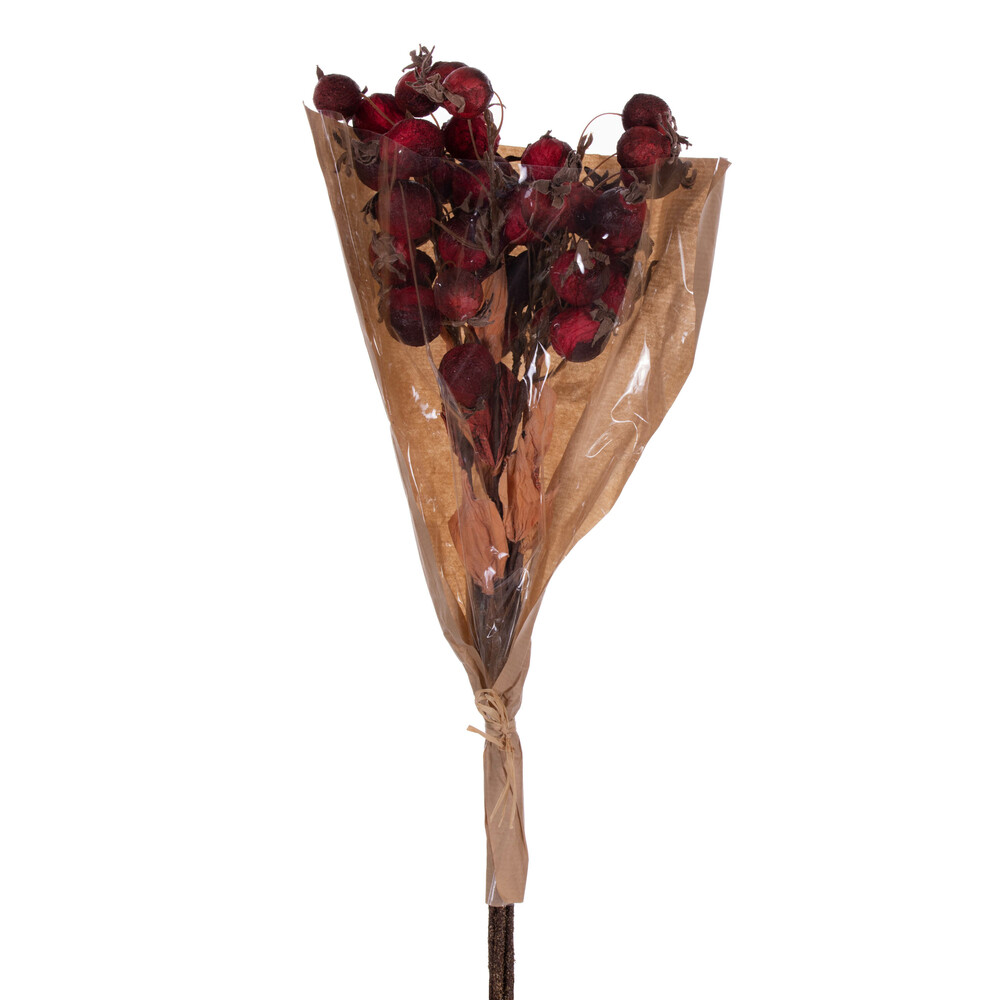 20 in. Artificial Dried Fruit Bunch, Red