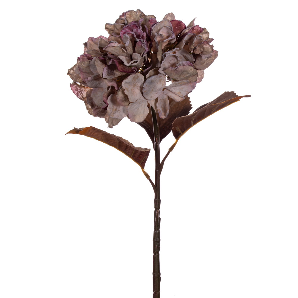 Picture of Vickerman FM223419 18.5 in. Dried Hydrangea Spray, Plum Green - 2 per Bag