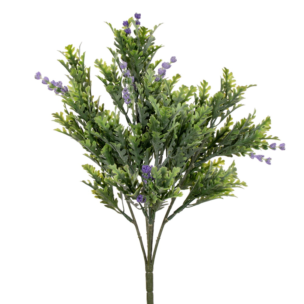 16.5 in. Senecio Cineraria Bush, Green - 2 Piece Per Bag