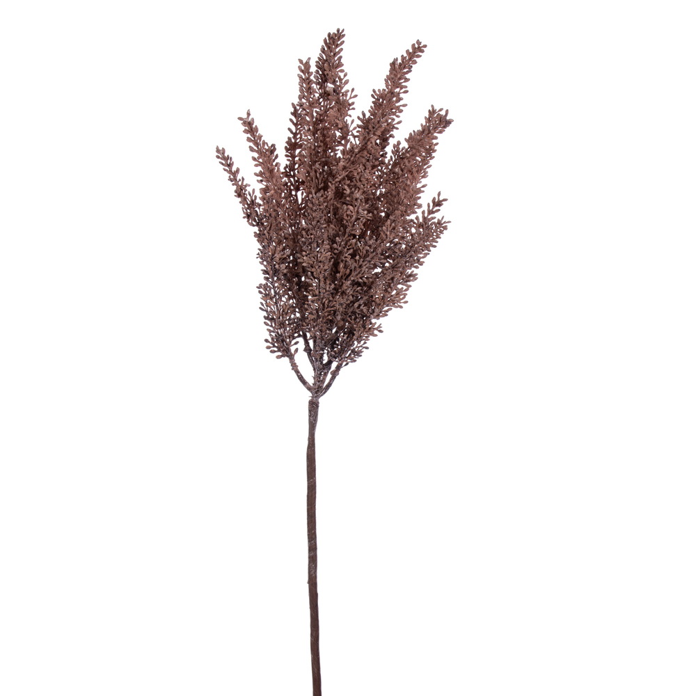 35 in. Dry Grass Stem, Light Brown - 2 Piece Per Bag