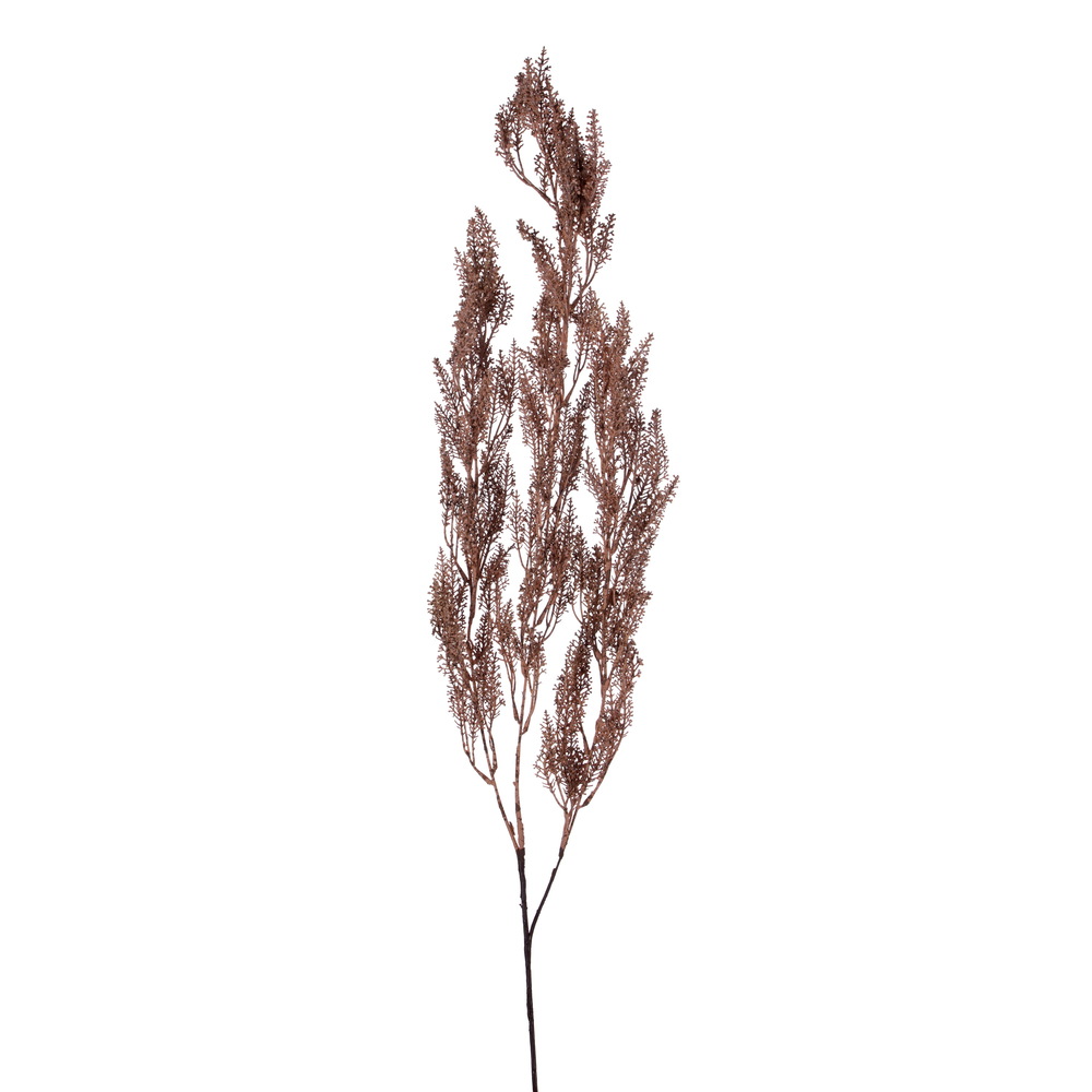 43 in. Dry Hanging Grass Branch, Light Brown