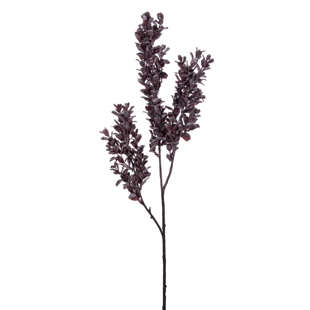 26 in. Dry Boxwood Spray, Brown - 2 Piece Per Bag