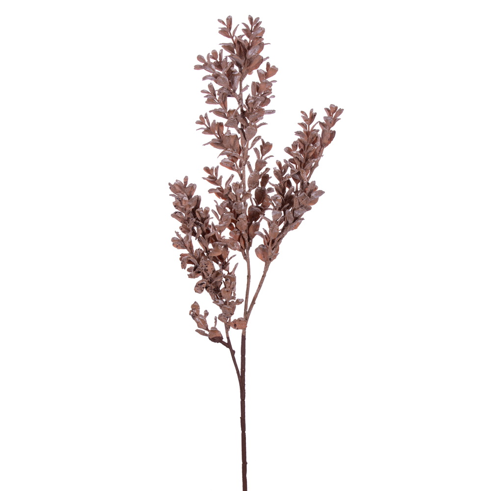 Dry Boxwood Spray - Light Brown - 2 Piece Per Bag