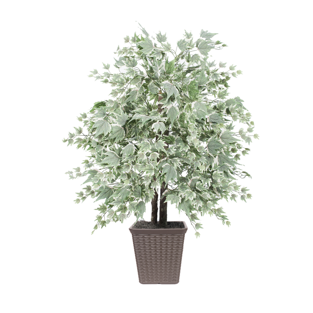4 ft. Silver Maple Bush Square Brown Container Decorative Plant, Dark Green