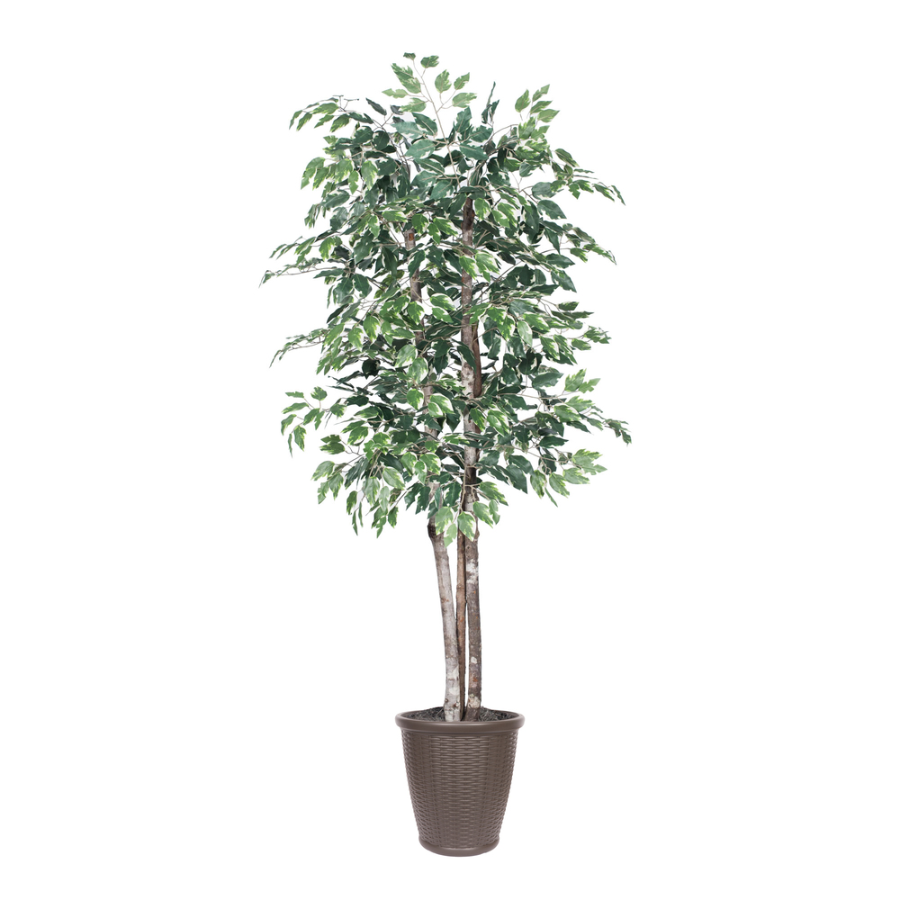 6 ft. Variegated Deluxe Round Brown Container Decorative Plant, Green & White
