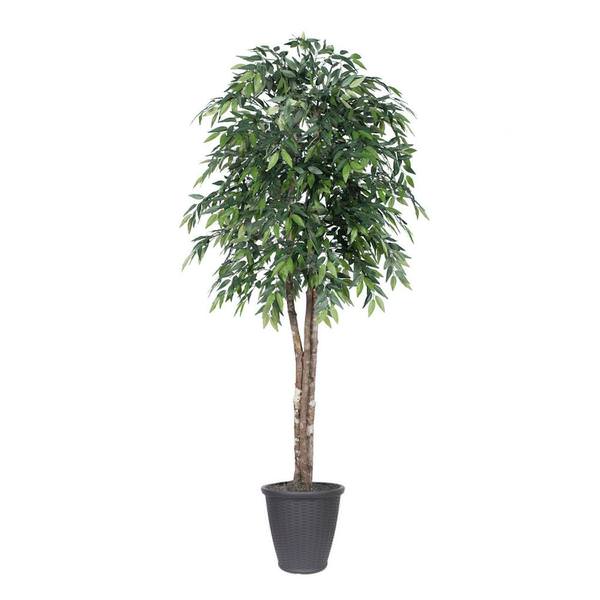 6 ft. Green Smilax Deluxe Round Tree in Container, Green & Grey