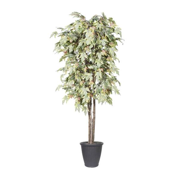6 ft. Frosted Maple Deluxe Round Tree in Container - Green, Brown & Grey
