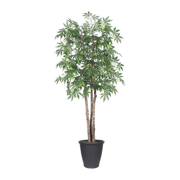 6 ft. Japanese Maple Deluxe Round Everyday Tree Container, Green & Grey