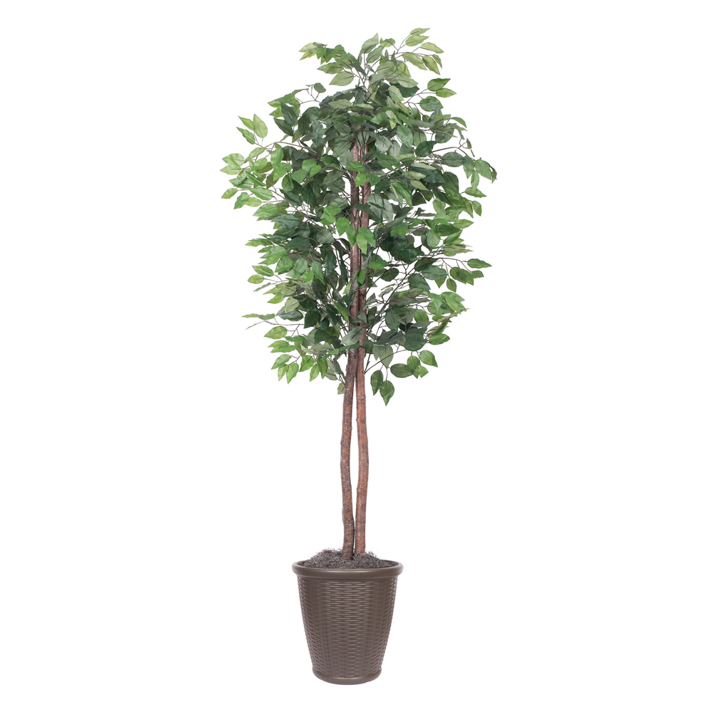 6 ft. Artificial Ficus Tree in Round Brown Container, Dark Green