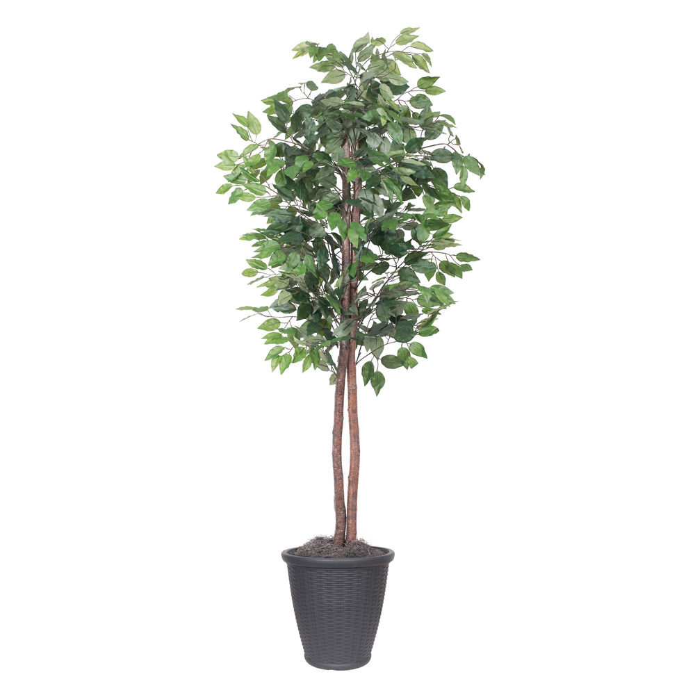 6 ft. Artificial Ficus Tree in Round Gray Container, Dark Green
