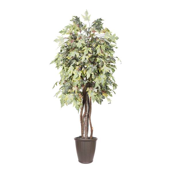 6 ft. Frosted Maple Executive Round Tree, Green & Brown