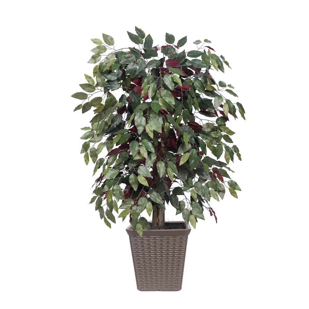 4 ft. Artificial Capensia Bush in Square Brown Container, Green & Red
