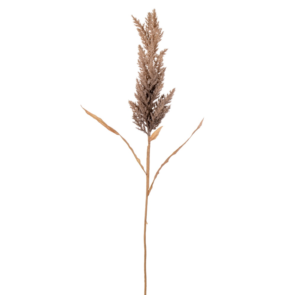 36 in. Dried Cluster Reed Spray, Brown - 3 per Bag