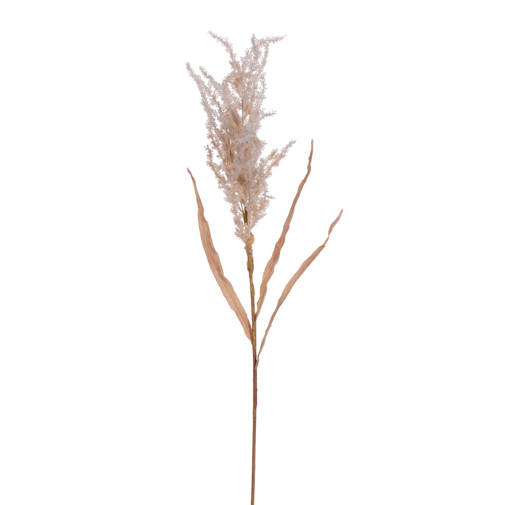 39 in. Dried Plum Grass Spray, Tan - 2 per Bag