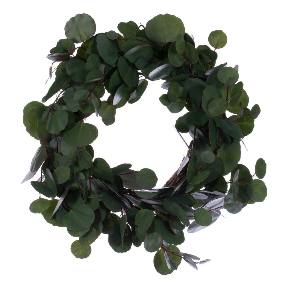 EF224620 20 in. Artificial Green Silver Dollar Populus Eucalyptus Wreath