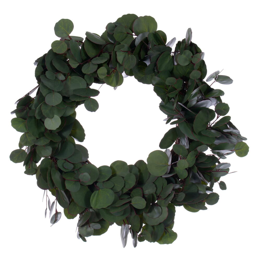 24 in. Artificial Green Silver Dollar Populus Eucalyptus Wreath