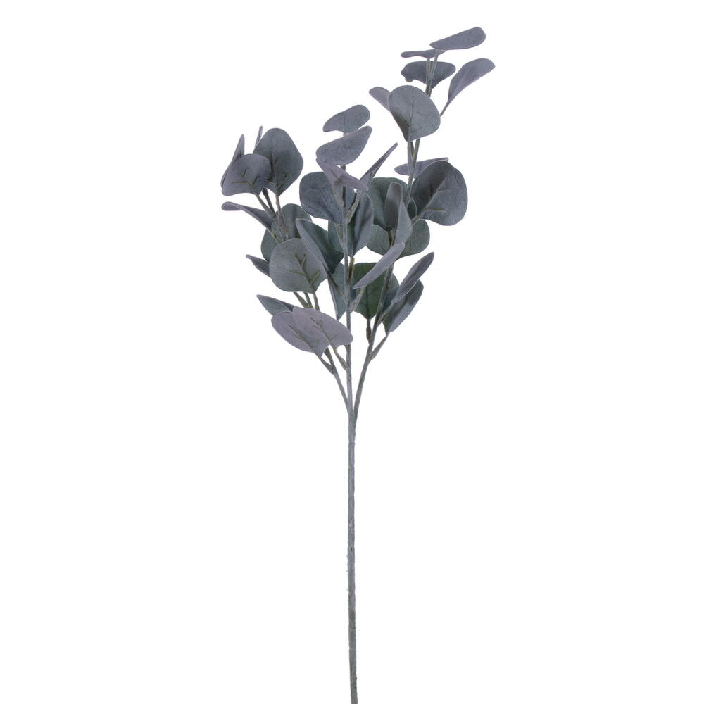Picture of Vickerman EF225526 26 in. Artificial Frosted Green Money Leaf Spray - Pack of 3