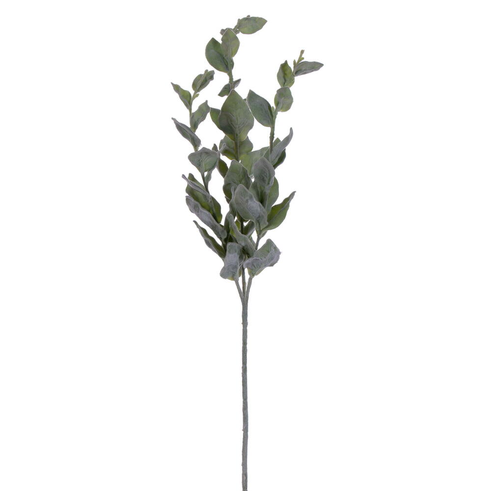 Picture of Vickerman EF225628 28 in. Artificial Frosted Green Basil Leaf Spray - Pack of 3