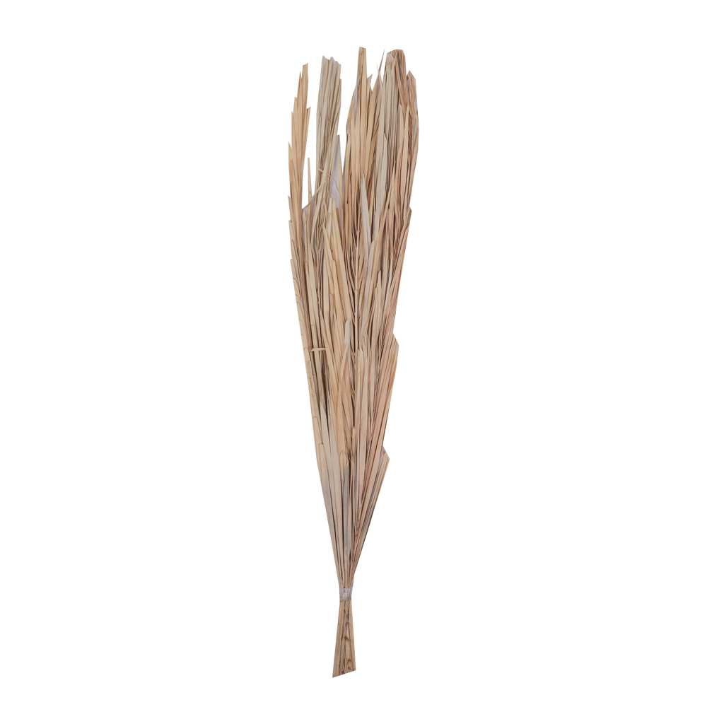 25 in. Canna Leaf Wreath, Bleached - 10 Piece
