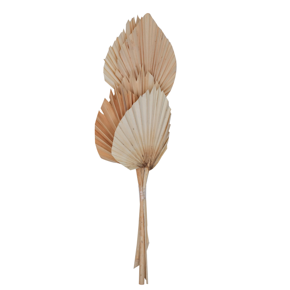 21 in. King Palm Spear Tree, Bleached - 10 Piece