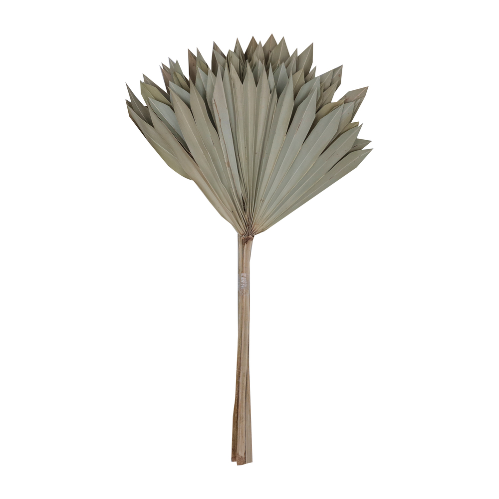20 in. Palm Sun Stem Tree, Natural - 12 Piece