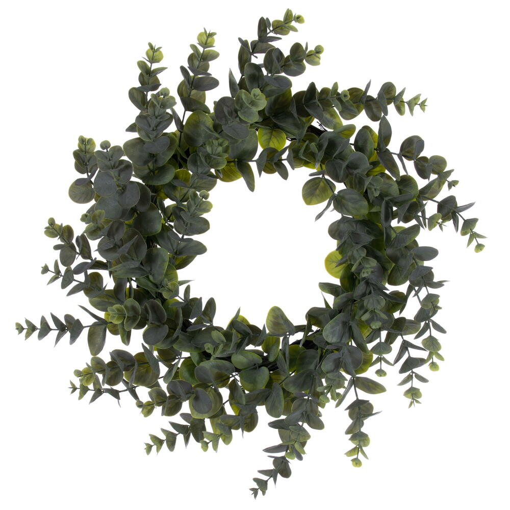 24 in. Spiral Eucalyptus Wreath, Green