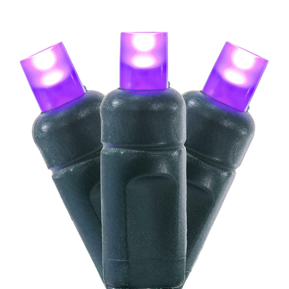 X6G66506FPBG 50 Light Frosted LED WA Coax Set - Purple