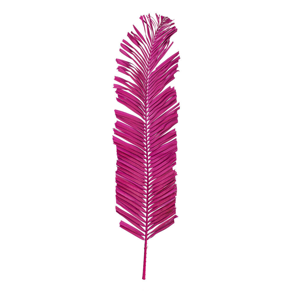 H2OPL425 44 in. Round Tip Palm Leaf, Raspberry - 6 per Bag